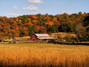 Dixieland Fall by Paul Harwell 